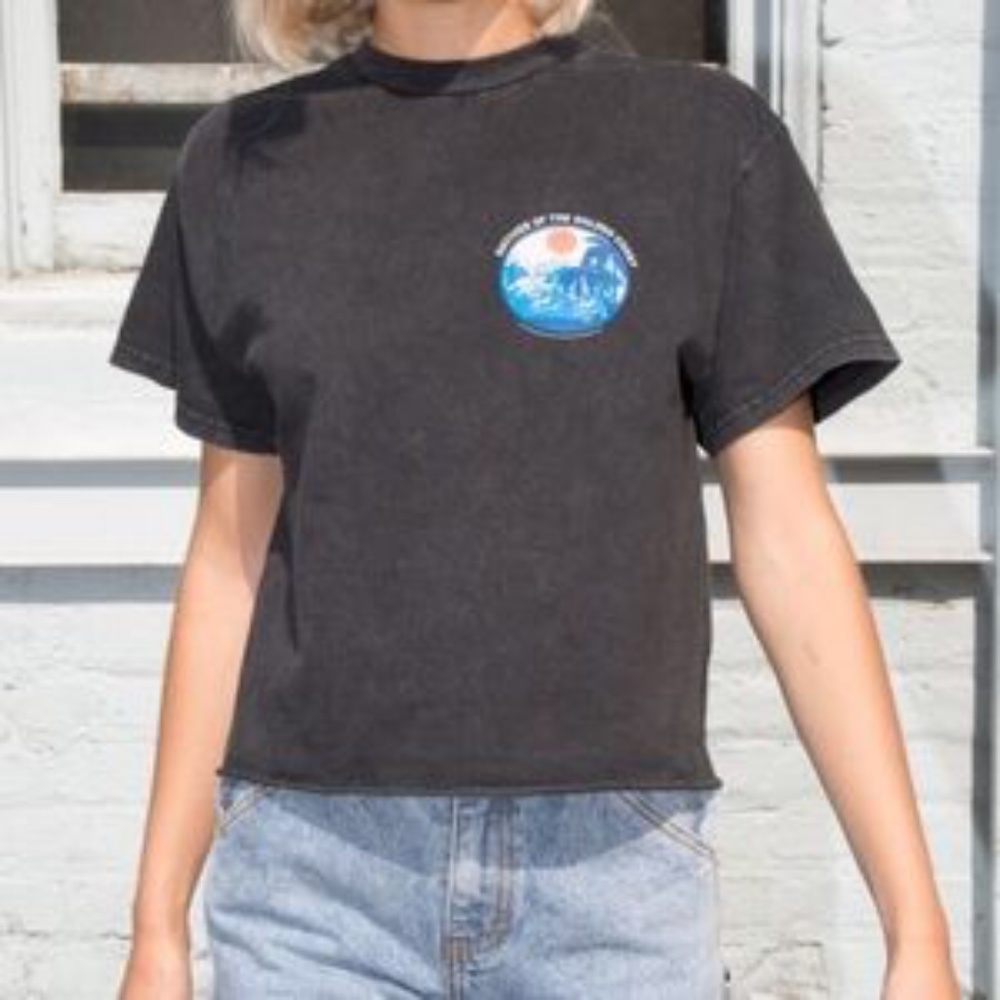 brandy melville aleena natives of the golden coast rare top